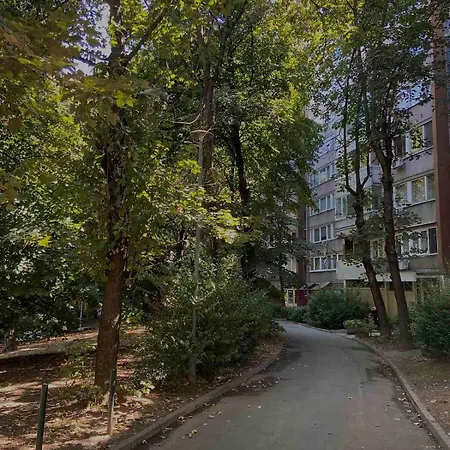 Bella Vista Belgrade